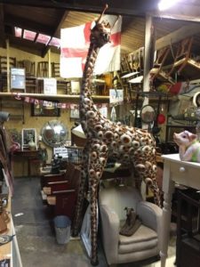 Waste Disposal and House Clearance in Salisbury 28